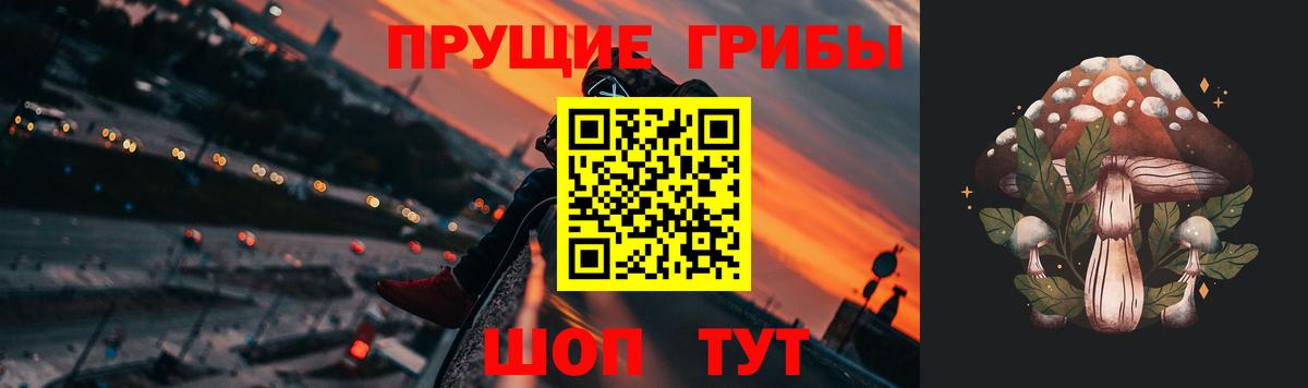 Галлюциногенные грибы Psilocybine cubensis  Псилоцибиновые грибы MAGIC MUSHROOMS  Вход с VPN  Конаково 